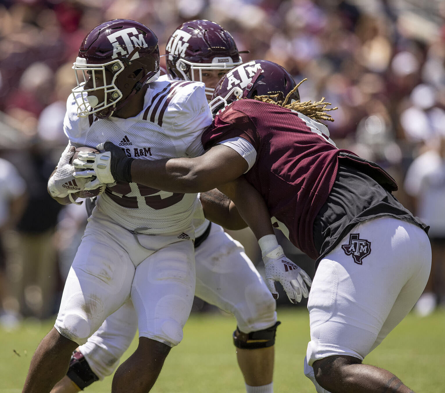 Maroon & White